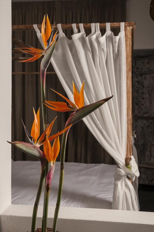 Seven Maze Charming House Bed & Breakfast Bari Oda fotoğraf